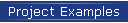 Project Examples